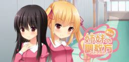 shimai choukyou|Tadashii Shimai no Sodatekata .